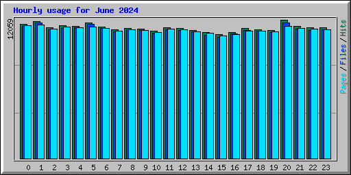 Hourly usage for June 2024