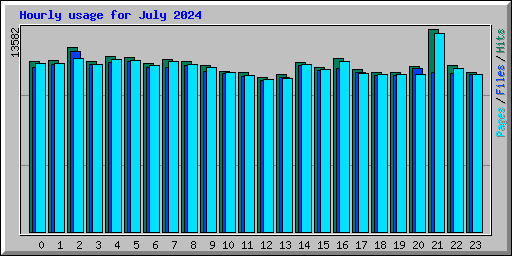 Hourly usage for July 2024