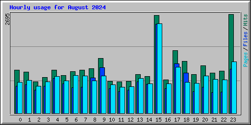 Hourly usage for August 2024