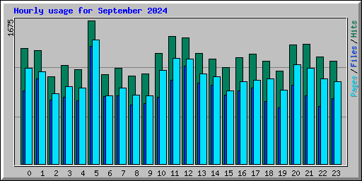 Hourly usage for September 2024