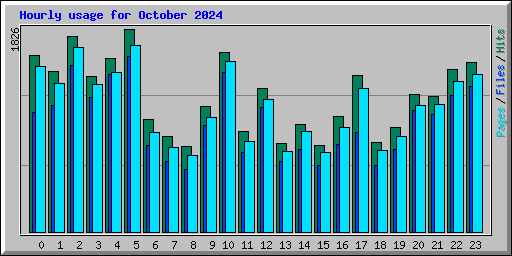 Hourly usage for October 2024