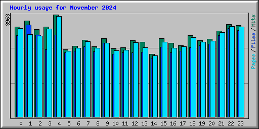 Hourly usage for November 2024