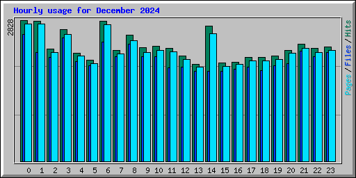 Hourly usage for December 2024