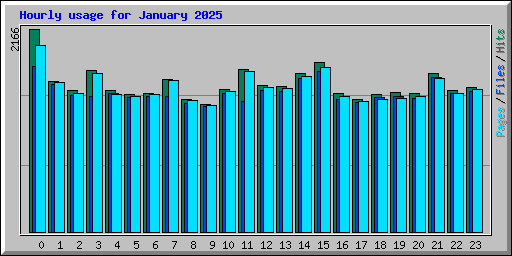 Hourly usage for January 2025