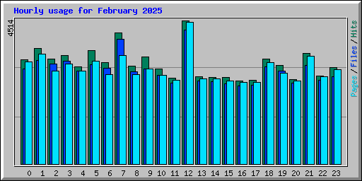 Hourly usage for February 2025