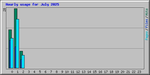 Hourly usage for July 2025