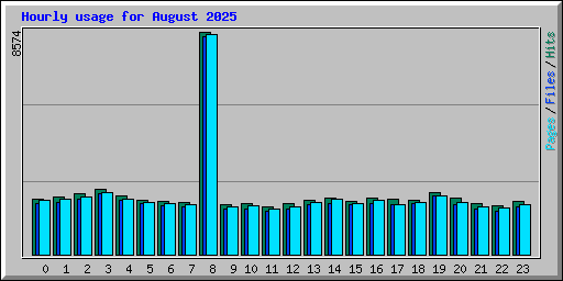 Hourly usage for August 2025