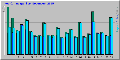 Hourly usage for December 2025