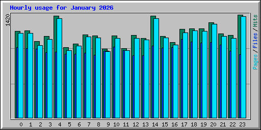 Hourly usage for January 2026